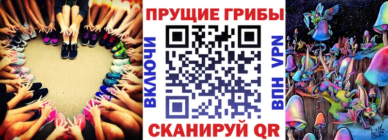 Псилоцибиновые грибы Magic Shrooms  Купить закладки  Кулебаки 